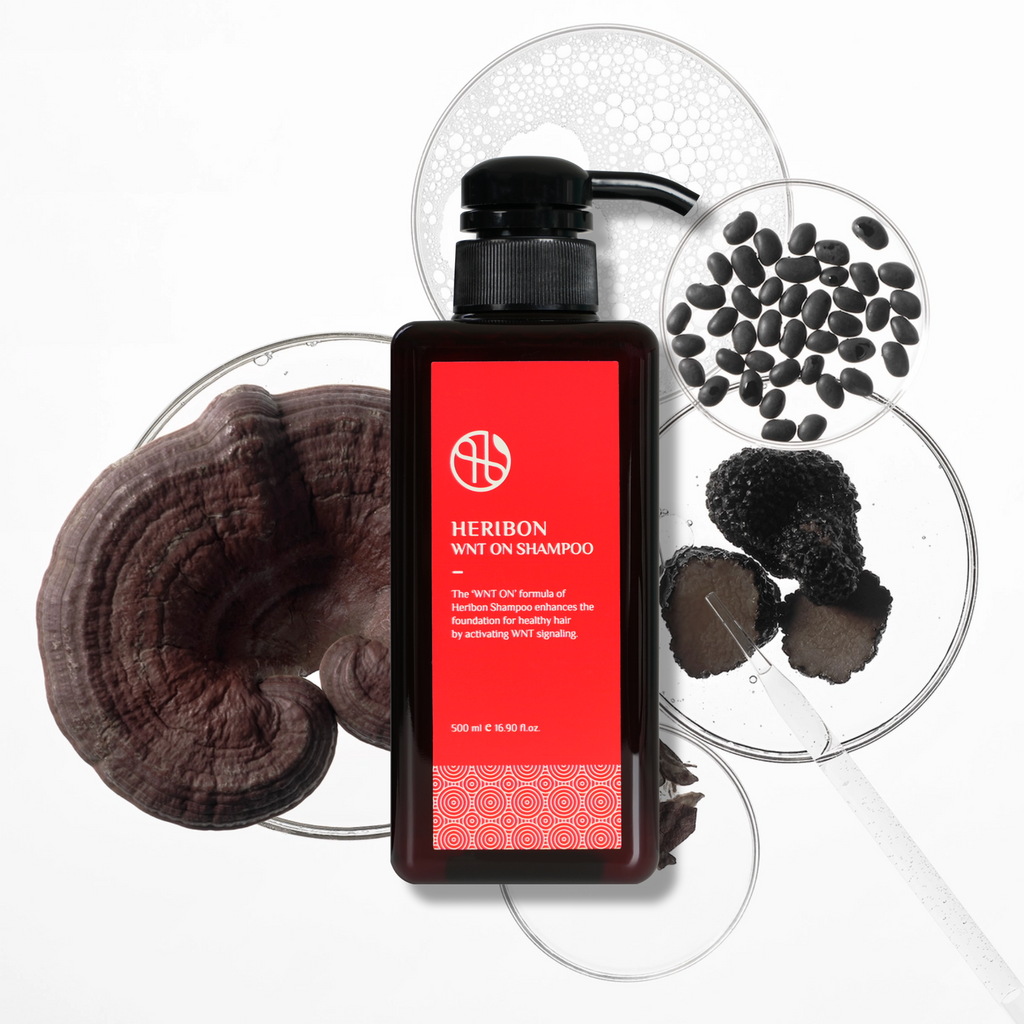WNT ON™ SCALP SHAMPOO |  Intensivshampoo zur aktiven Stimulation des Haarwachstums mit patentiertem mimetischem Wirkstoffkomplex & Hesperidin (500ml Vorteilspackung)_Shishi Chérie_3
