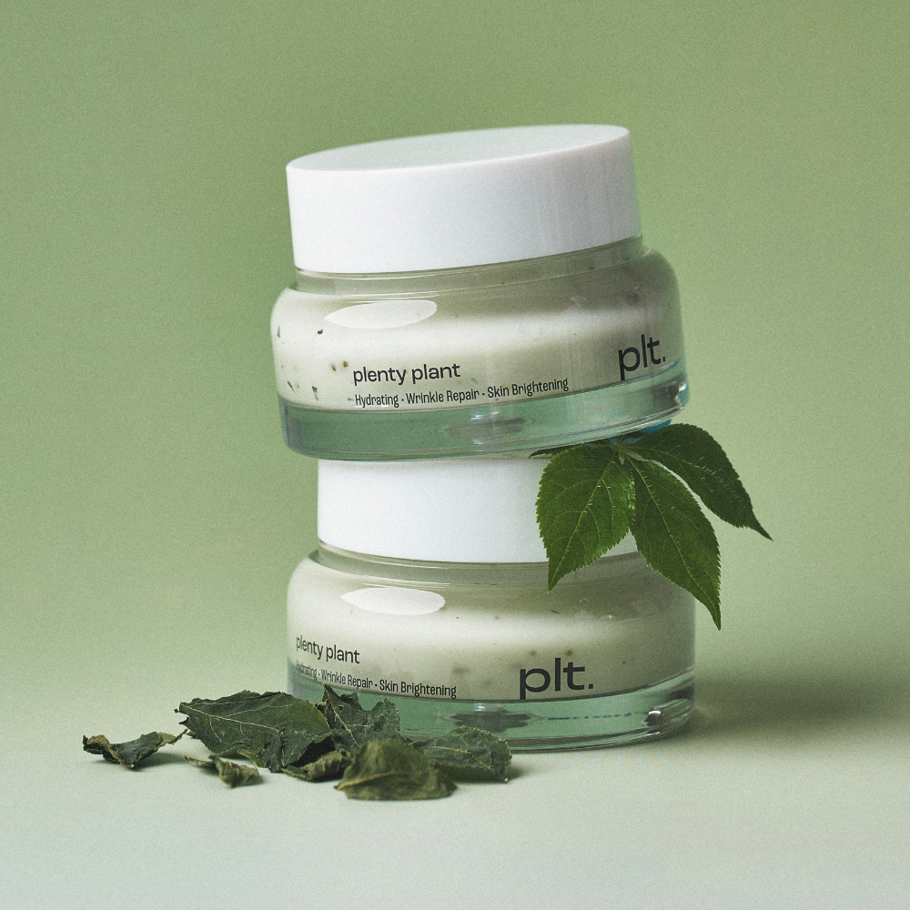 MELTING LEAF™ SPROUT GINSENG CREAM | 24H Anti-Aging Gesichtspflege mit Ginsenosiden,12-Peptide-Komplex & Extrakt aus Japanischen Kamelien_2
